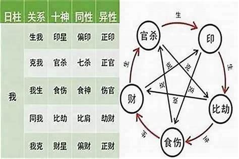 八字 十神|十神——八字基础知识（8）